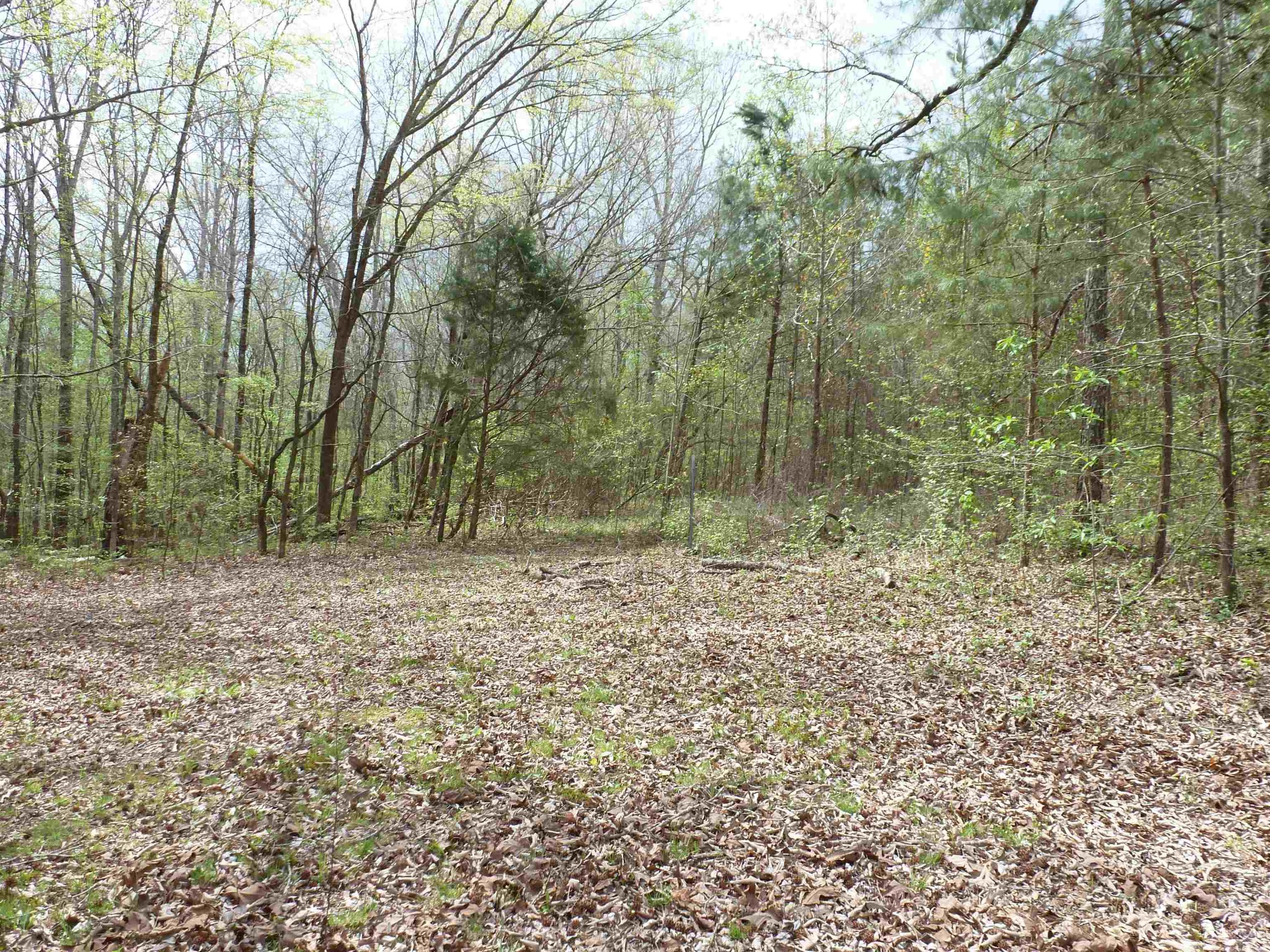 2330 Ligon Springs Road Tuscumbia, AL 35674 - Photo 8 of 8