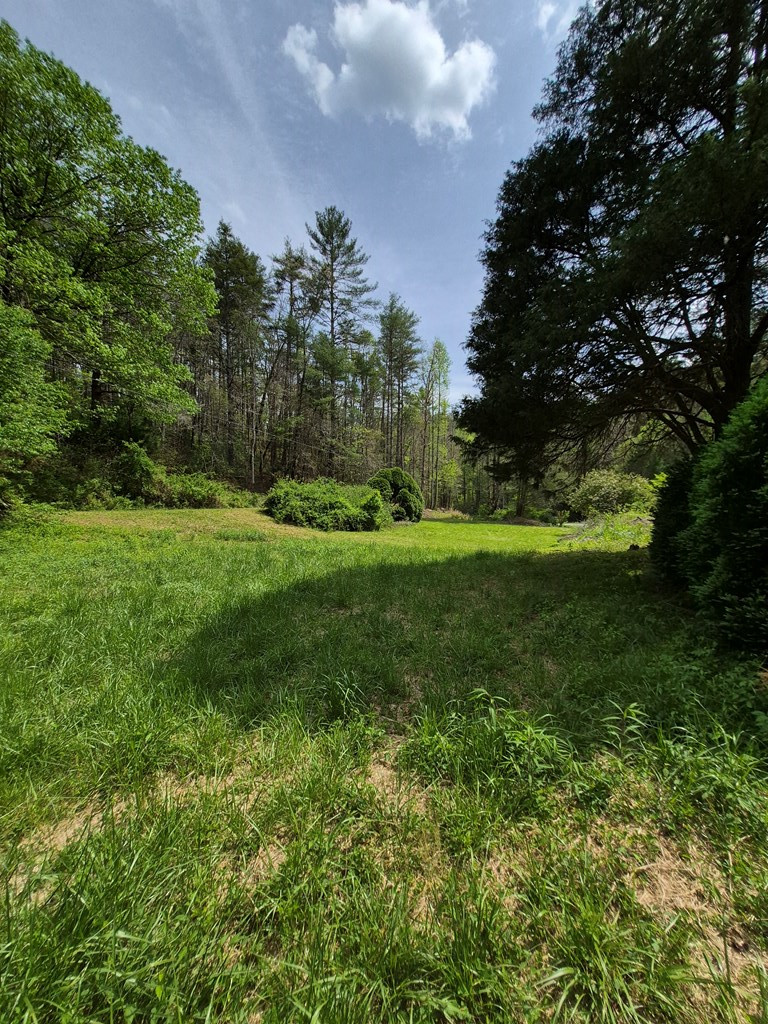 1132 Dockery Crk Road Murphy, NC 28906 - Photo 13 of 52