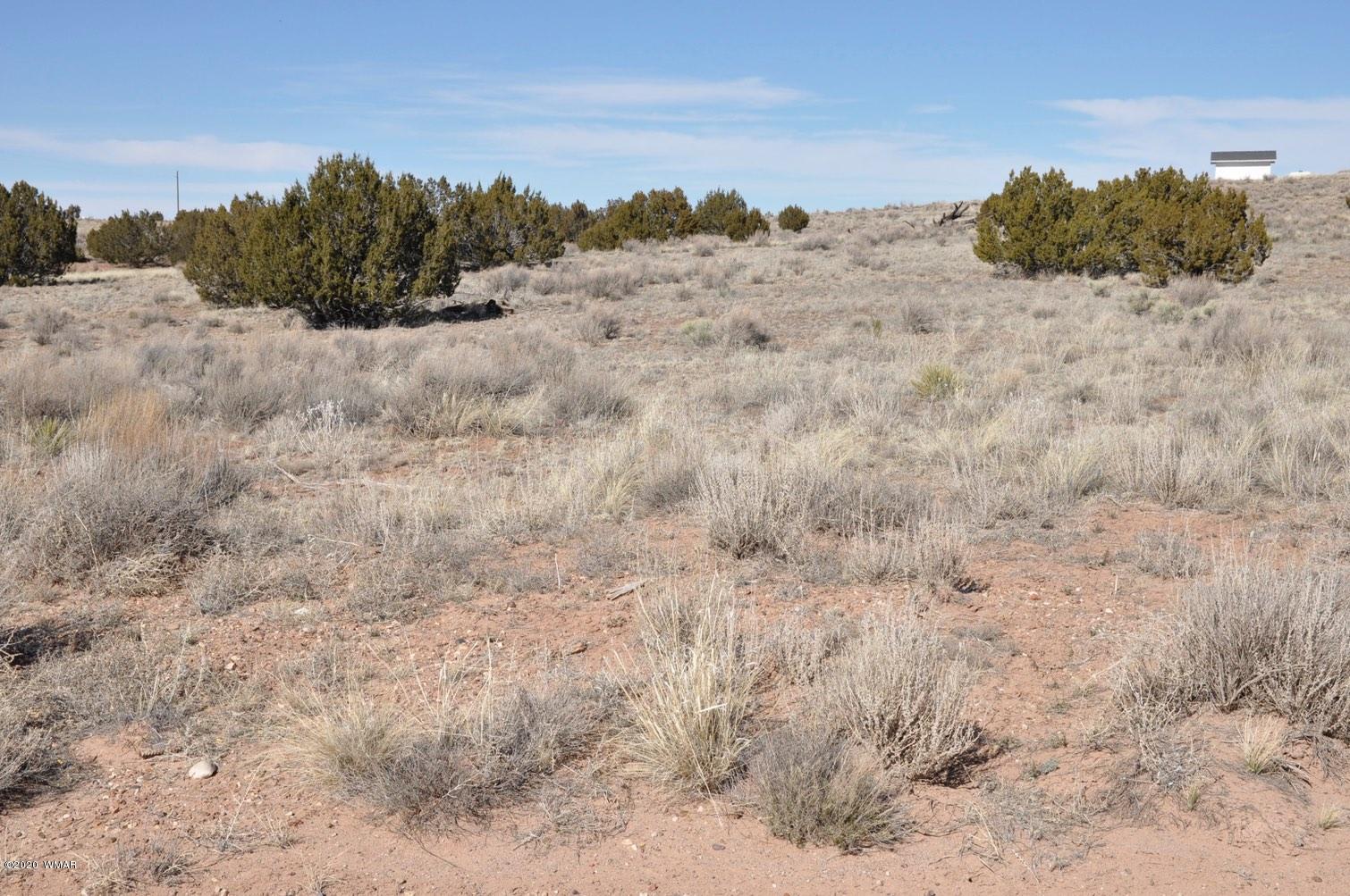 2 West H W Rencher Road Snowflake, AZ 85937 - Photo 14 of 20