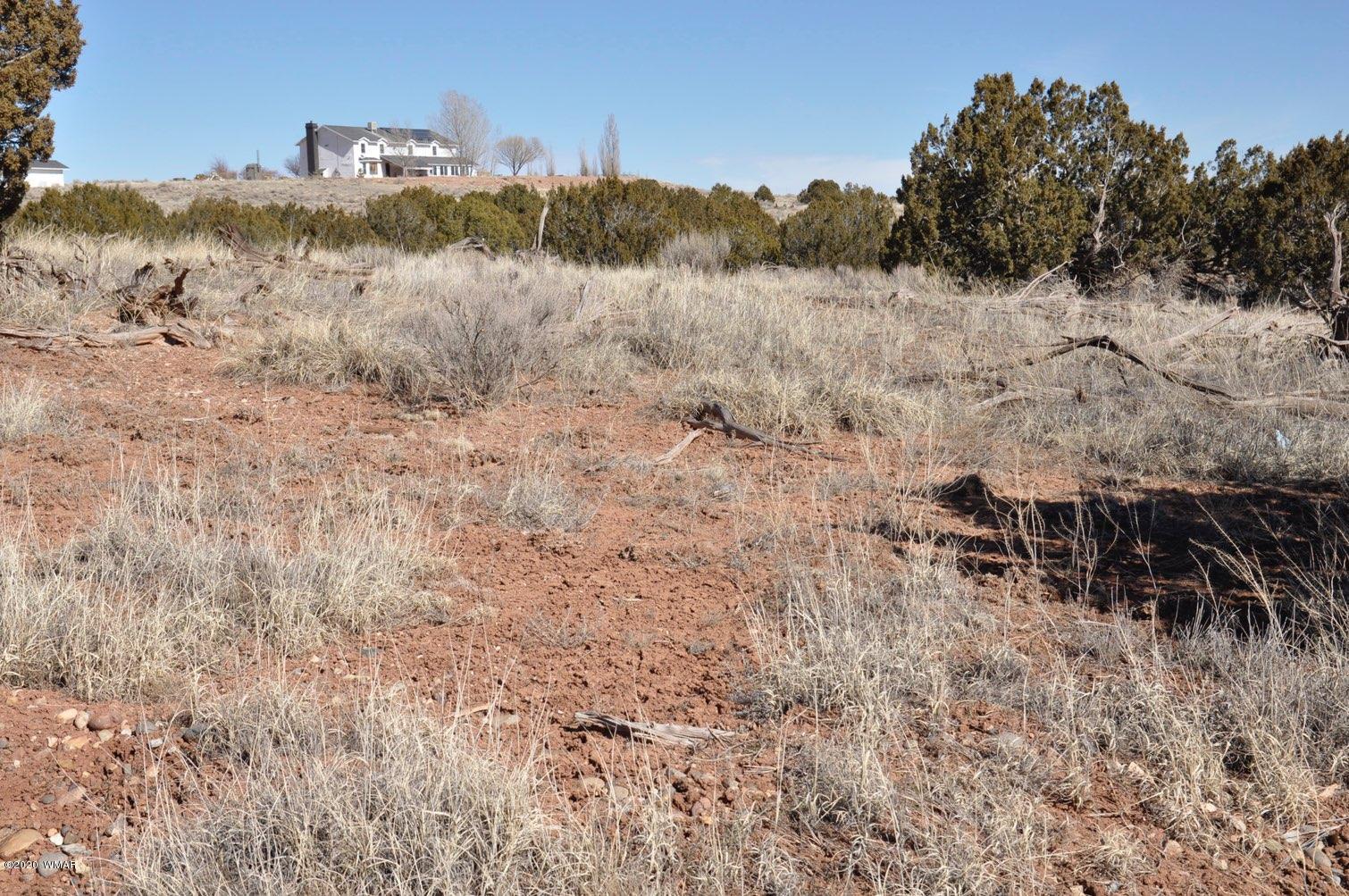 2 West H W Rencher Road Snowflake, AZ 85937 - Photo 15 of 20