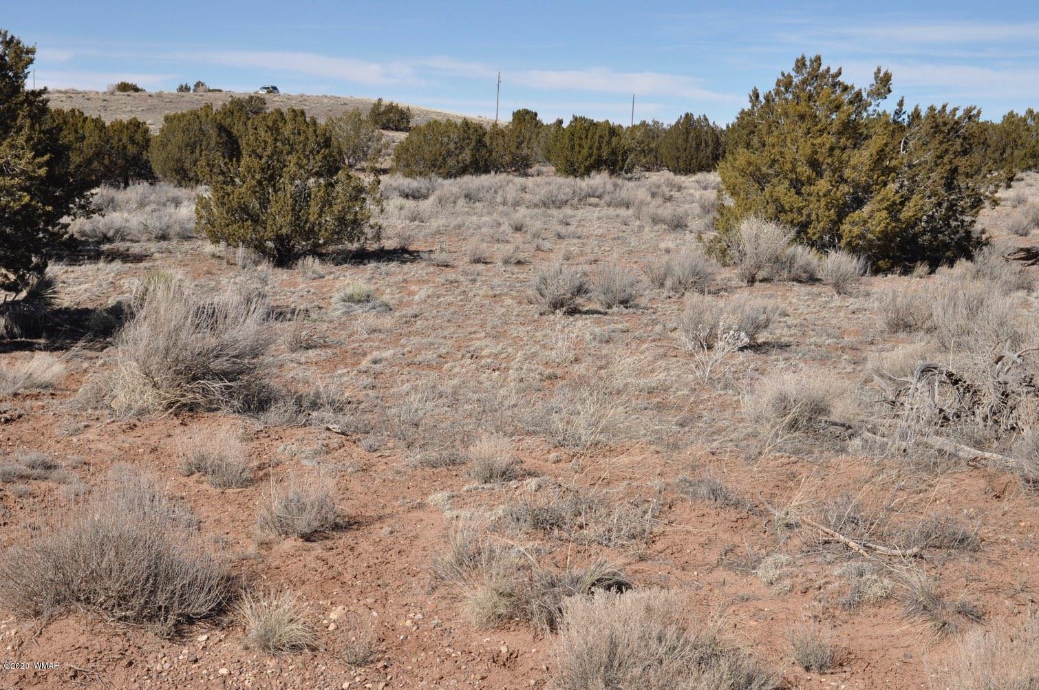 2 West H W Rencher Road Snowflake, AZ 85937 - Photo 16 of 20