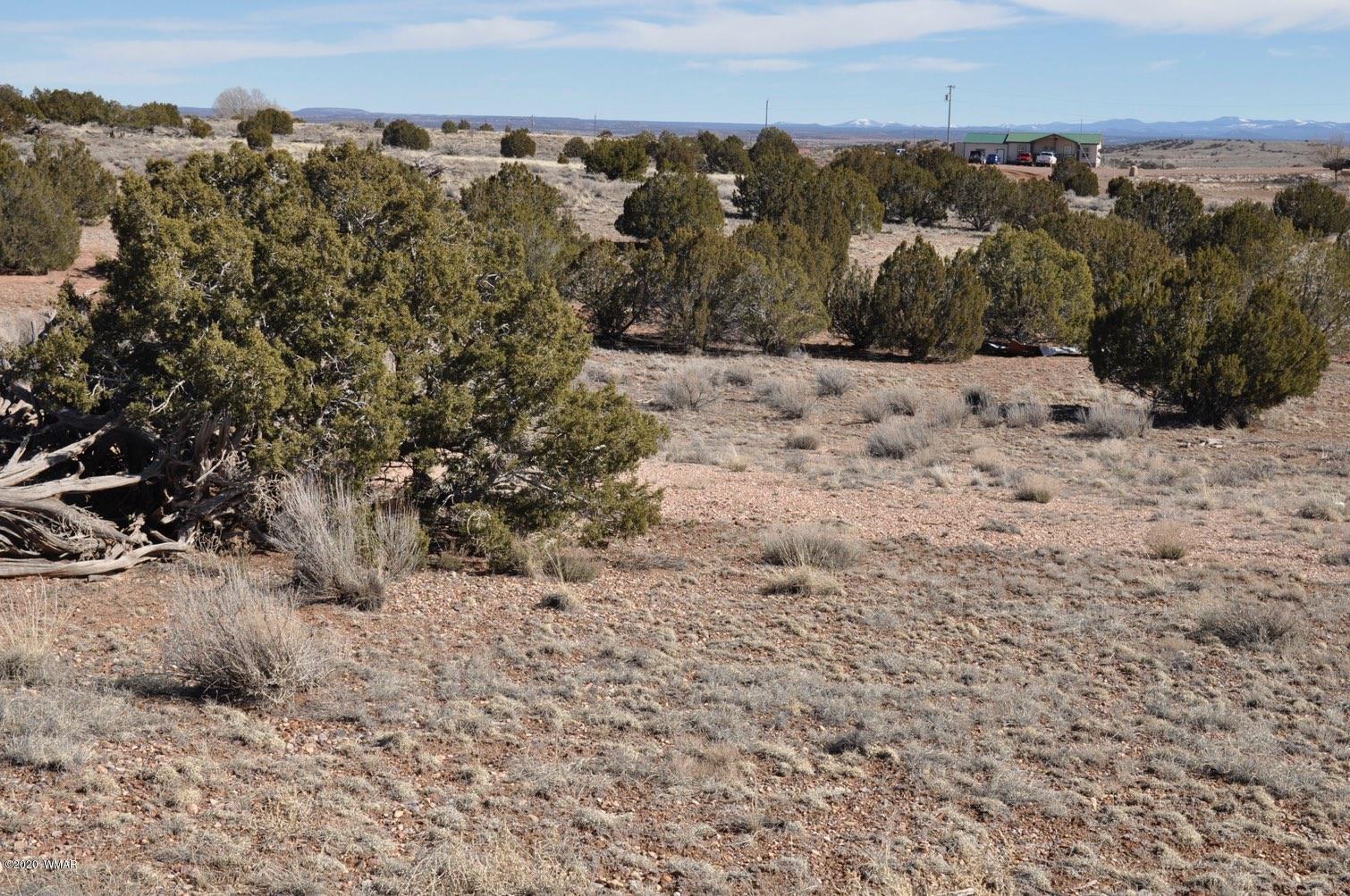 2 West H W Rencher Road Snowflake, AZ 85937 - Photo 18 of 20