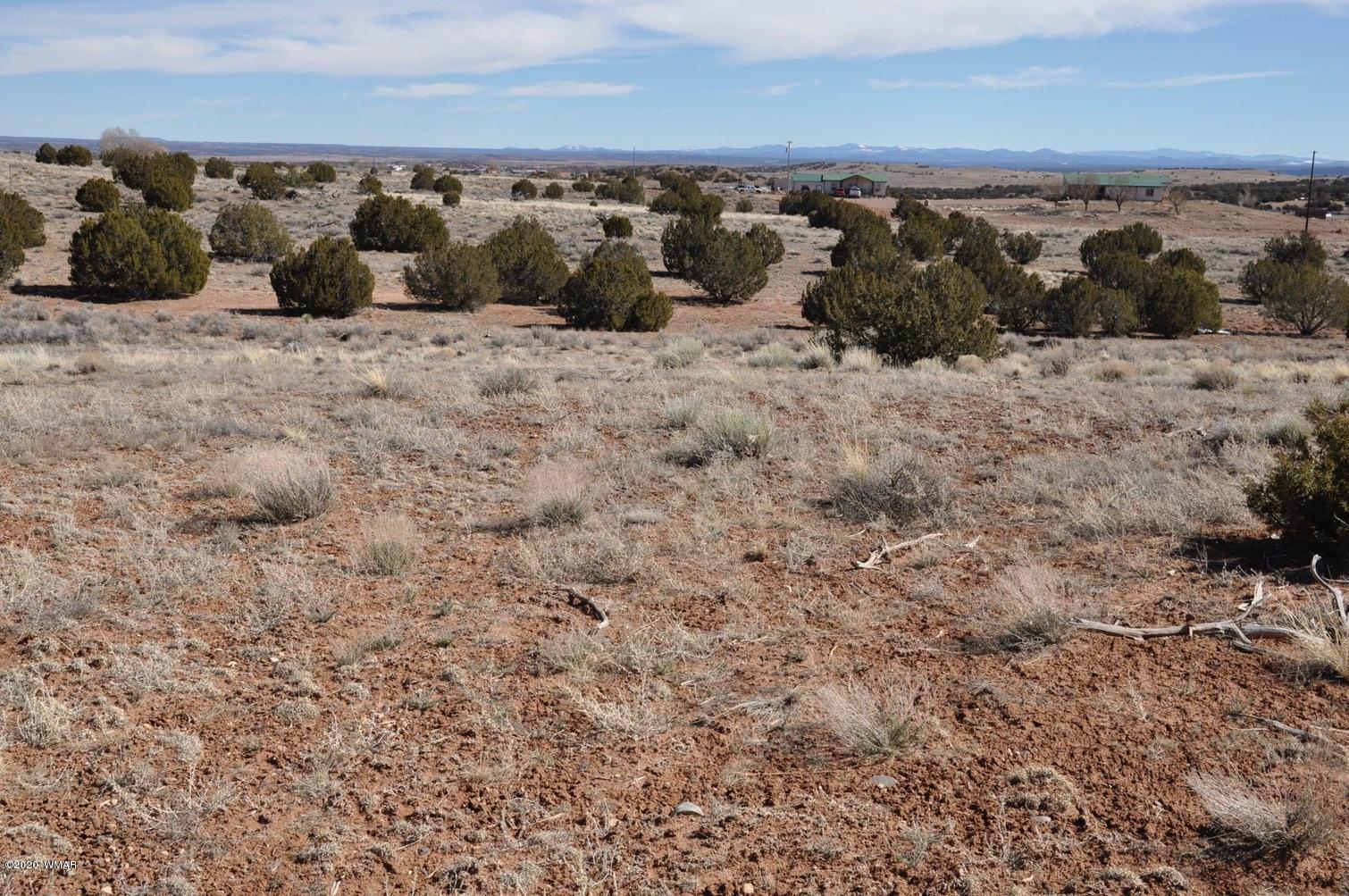 2 West H W Rencher Road Snowflake, AZ 85937 - Photo 19 of 20