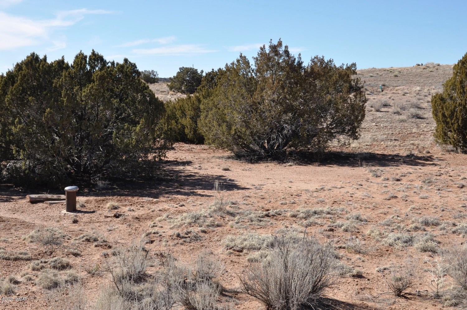 2 West H W Rencher Road Snowflake, AZ 85937 - Photo 3 of 20