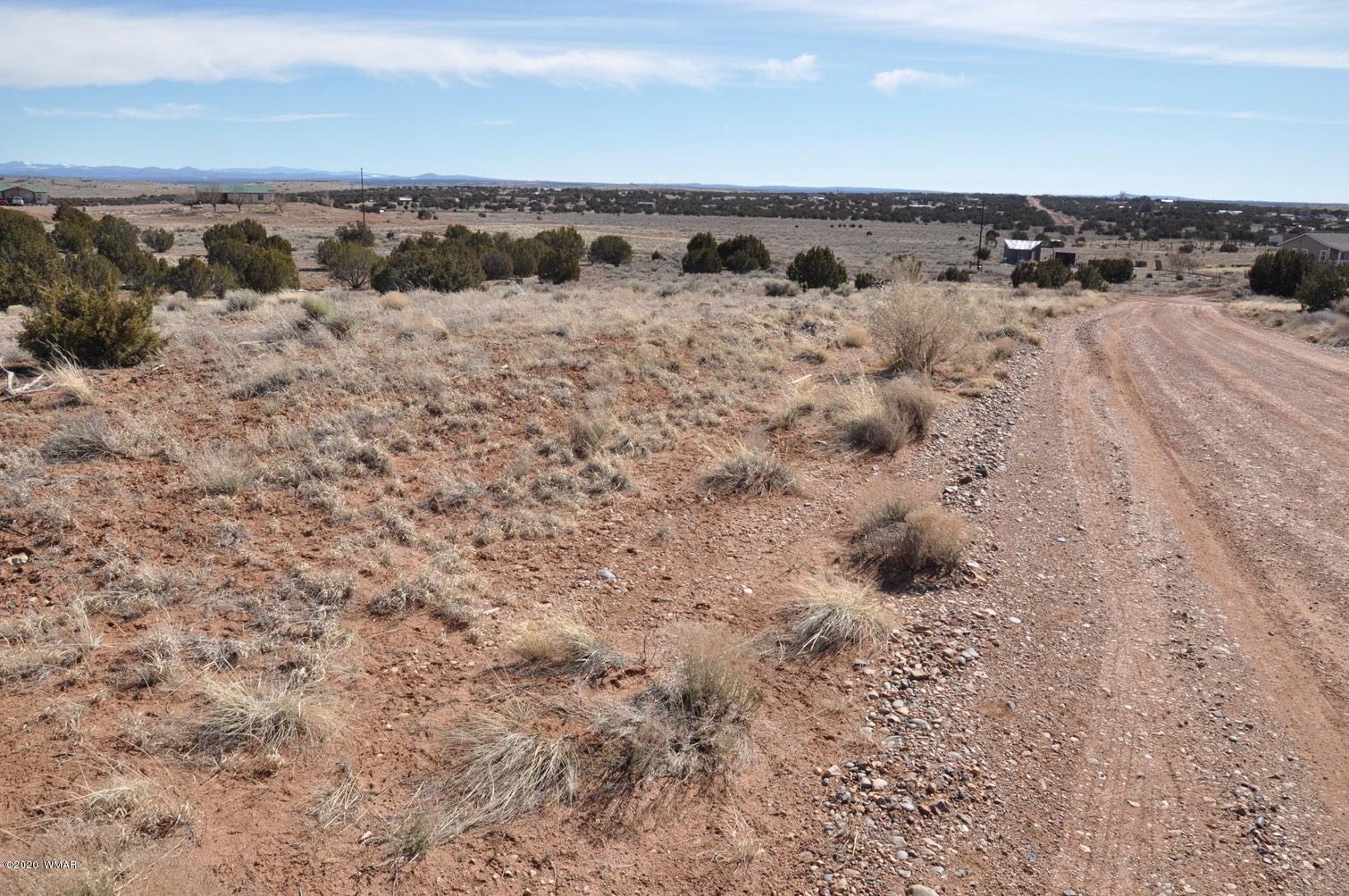 2 West H W Rencher Road Snowflake, AZ 85937 - Photo 4 of 20