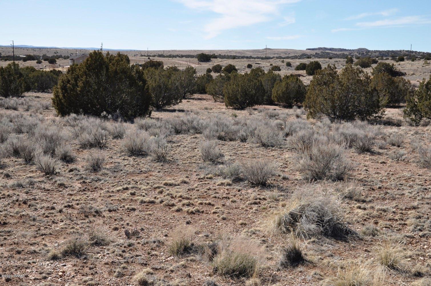 2 West H W Rencher Road Snowflake, AZ 85937 - Photo 5 of 20