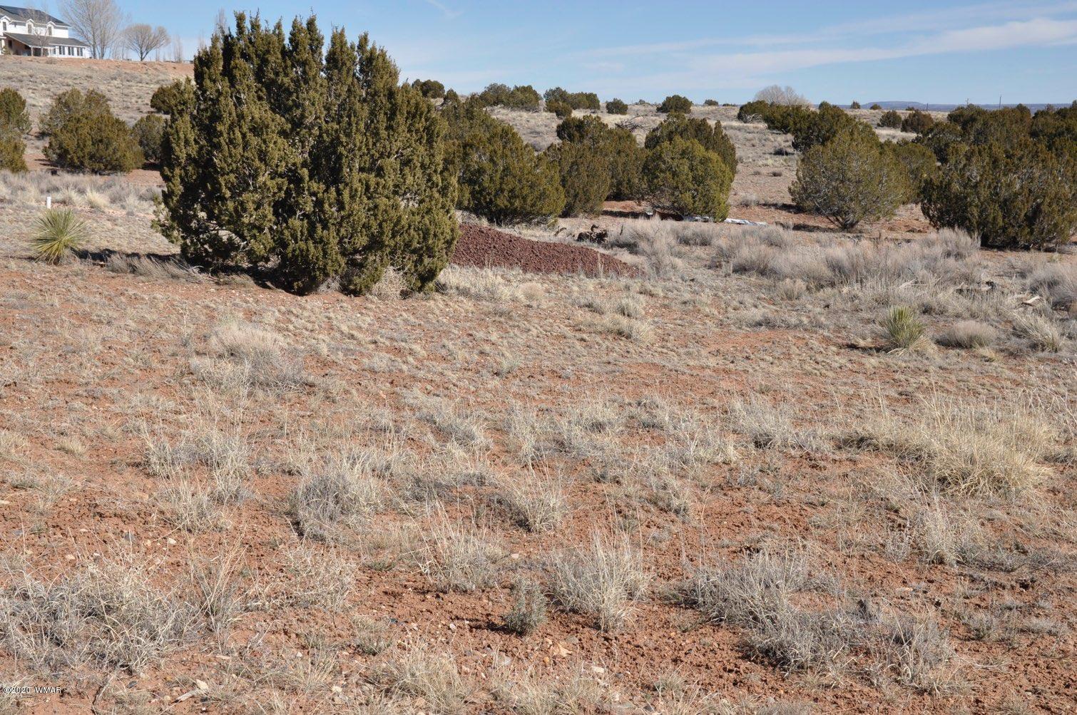 2 West H W Rencher Road Snowflake, AZ 85937 - Photo 6 of 20