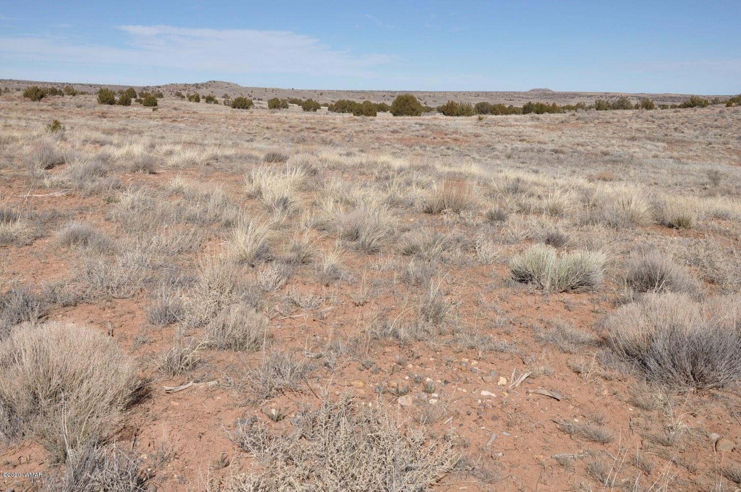2 West H W Rencher Road Snowflake, AZ 85937 - Photo 9 of 20