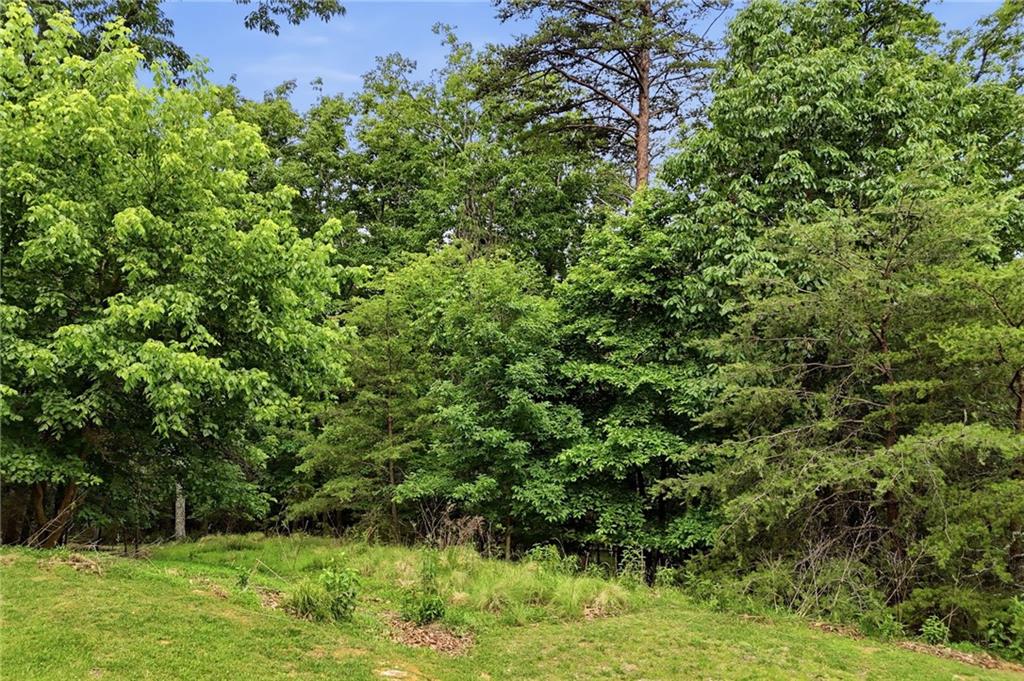 0 Owl Ridge Way Jasper, GA 30143 - Photo 18 of 22 a view of a lush green forest
