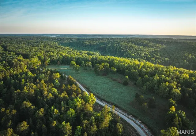 $1,700,000 | Tbd Tbd Dogwood Lane, Doniphan, MO 63935