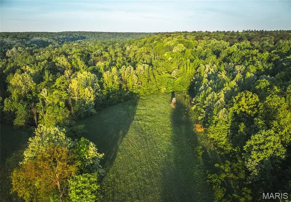 $1,700,000 | Tbd Tbd Dogwood Lane, Doniphan, MO 63935