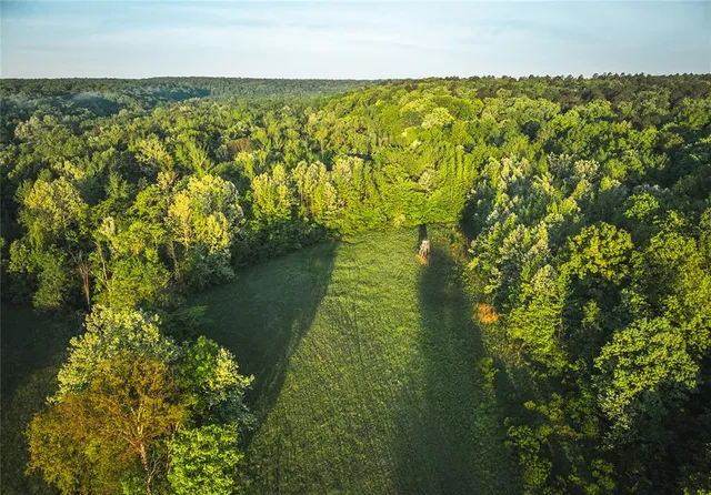 $1,700,000 | Tbd Tbd Dogwood Lane, Doniphan, MO 63935