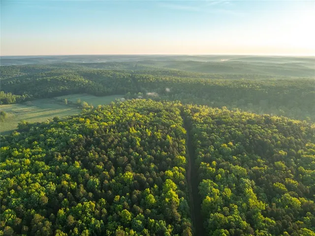 $1,700,000 | Tbd Tbd Dogwood Lane, Doniphan, MO 63935