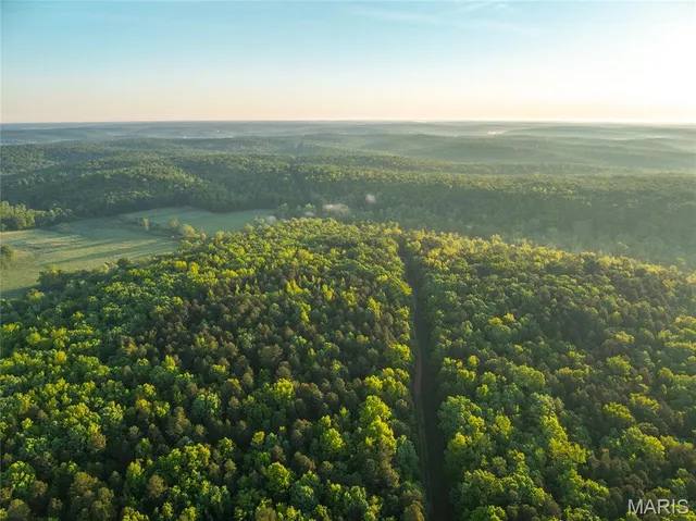 $1,700,000 | Tbd Tbd Dogwood Lane, Doniphan, MO 63935