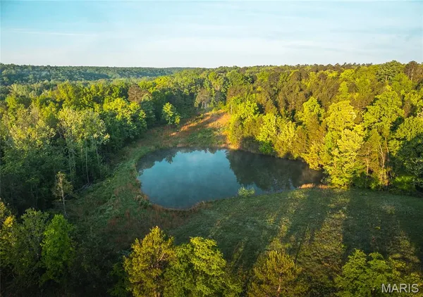 $1,700,000 | Tbd Tbd Dogwood Lane, Doniphan, MO 63935