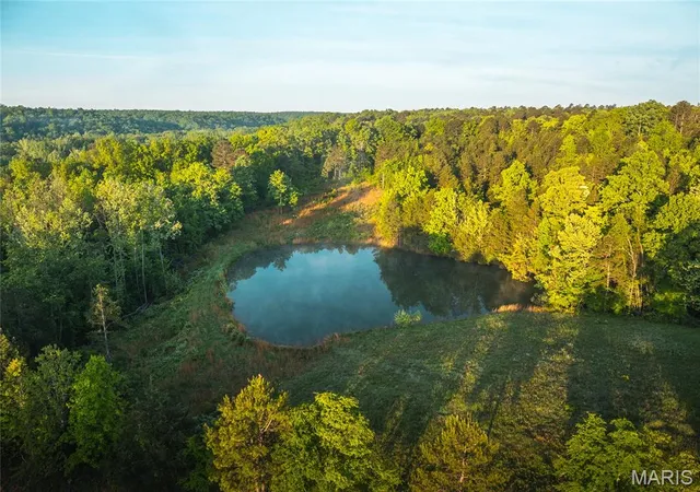 $1,700,000 | Tbd Tbd Dogwood Lane, Doniphan, MO 63935