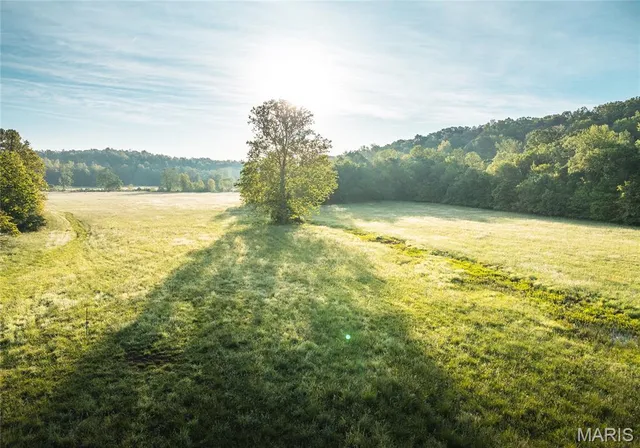 $1,700,000 | Tbd Tbd Dogwood Lane, Doniphan, MO 63935