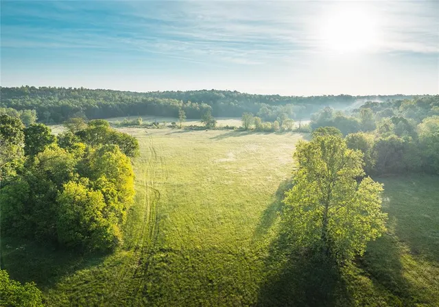 $1,700,000 | Tbd Tbd Dogwood Lane, Doniphan, MO 63935