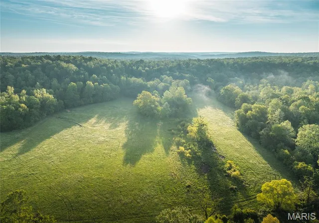 $1,700,000 | Tbd Tbd Dogwood Lane, Doniphan, MO 63935