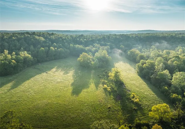$1,700,000 | Tbd Tbd Dogwood Lane, Doniphan, MO 63935