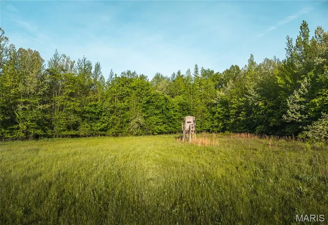 $1,700,000 | Tbd Tbd Dogwood Lane, Doniphan, MO 63935