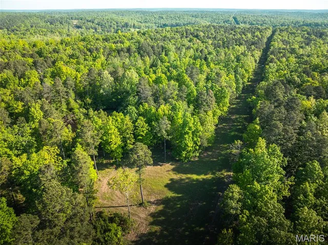 $1,700,000 | Tbd Tbd Dogwood Lane, Doniphan, MO 63935