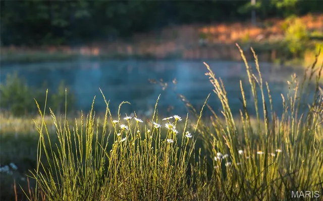 $1,700,000 | Tbd Tbd Dogwood Lane, Doniphan, MO 63935