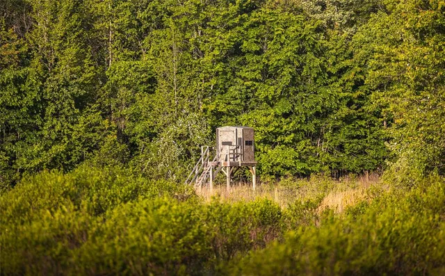 $1,700,000 | Tbd Tbd Dogwood Lane, Doniphan, MO 63935