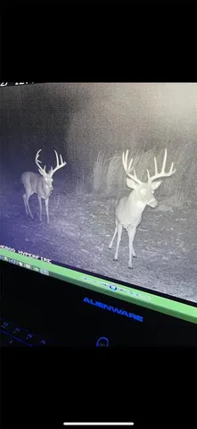 $1,700,000 | Tbd Tbd Dogwood Lane, Doniphan, MO 63935