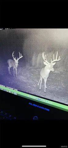 $1,700,000 | Tbd Tbd Dogwood Lane, Doniphan, MO 63935