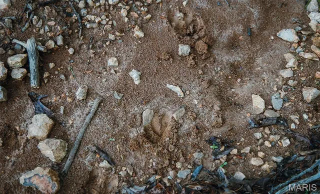 $1,700,000 | Tbd Tbd Dogwood Lane, Doniphan, MO 63935