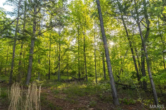 $1,700,000 | Tbd Tbd Dogwood Lane, Doniphan, MO 63935