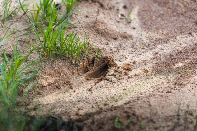 $1,700,000 | Tbd Tbd Dogwood Lane, Doniphan, MO 63935