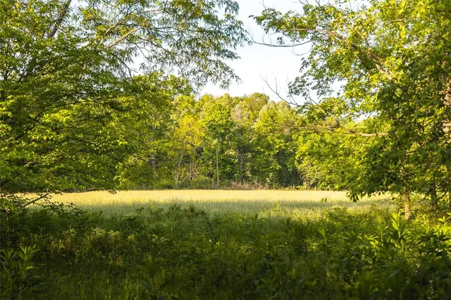 $1,700,000 | Tbd Tbd Dogwood Lane, Doniphan, MO 63935