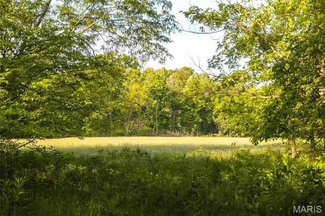 $1,700,000 | Tbd Tbd Dogwood Lane, Doniphan, MO 63935