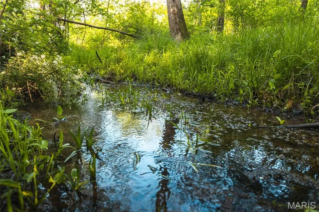 $1,700,000 | Tbd Tbd Dogwood Lane, Doniphan, MO 63935