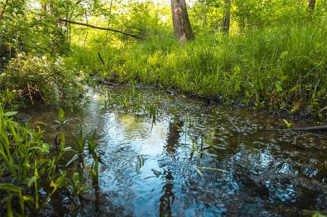 $1,700,000 | Tbd Tbd Dogwood Lane, Doniphan, MO 63935