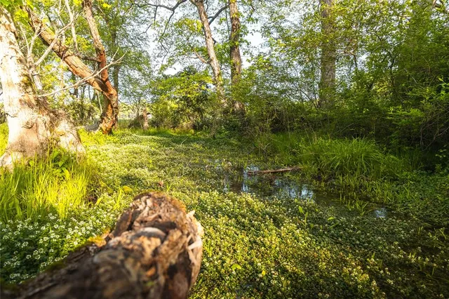 $1,700,000 | Tbd Tbd Dogwood Lane, Doniphan, MO 63935