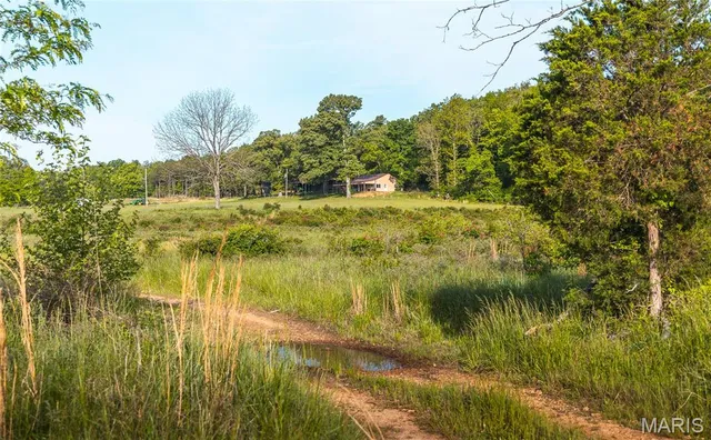 $1,700,000 | Tbd Tbd Dogwood Lane, Doniphan, MO 63935