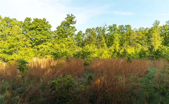 $1,700,000 | Tbd Tbd Dogwood Lane, Doniphan, MO 63935