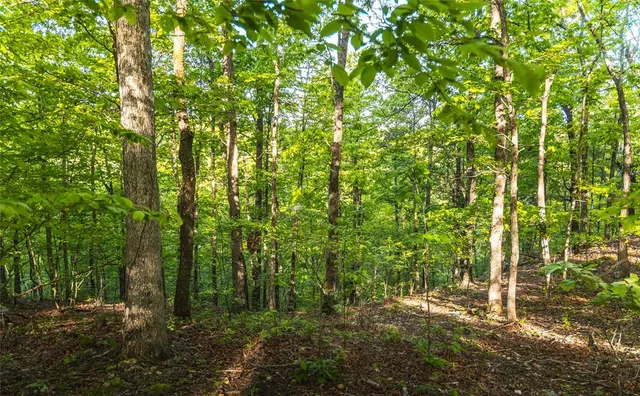 $1,700,000 | Tbd Tbd Dogwood Lane, Doniphan, MO 63935