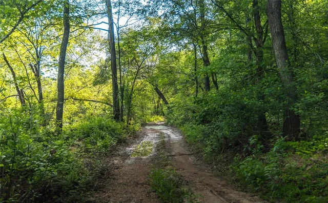 $1,700,000 | Tbd Tbd Dogwood Lane, Doniphan, MO 63935