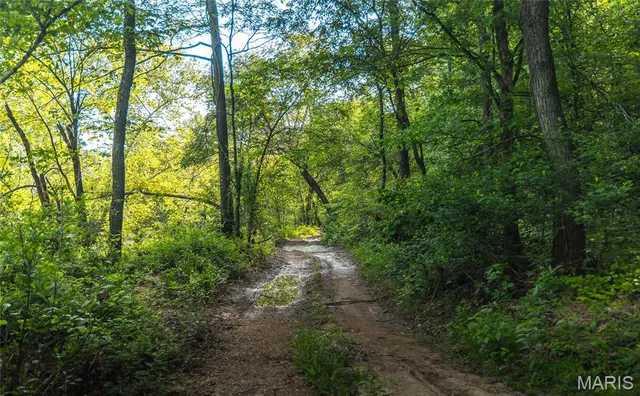 $1,700,000 | Tbd Tbd Dogwood Lane, Doniphan, MO 63935