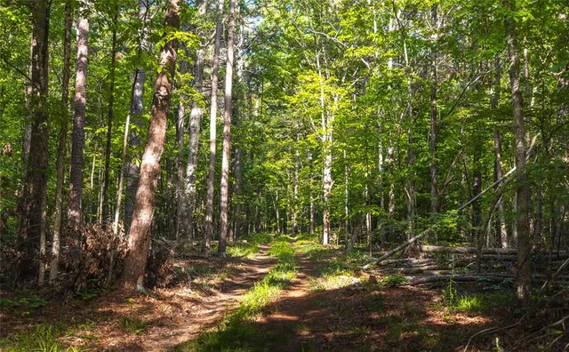 $1,700,000 | Tbd Tbd Dogwood Lane, Doniphan, MO 63935