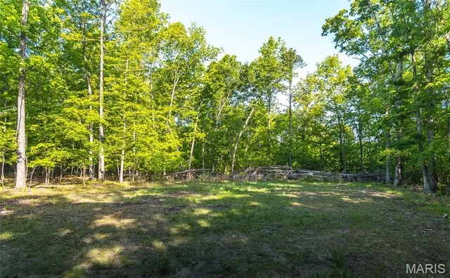 $1,700,000 | Tbd Tbd Dogwood Lane, Doniphan, MO 63935