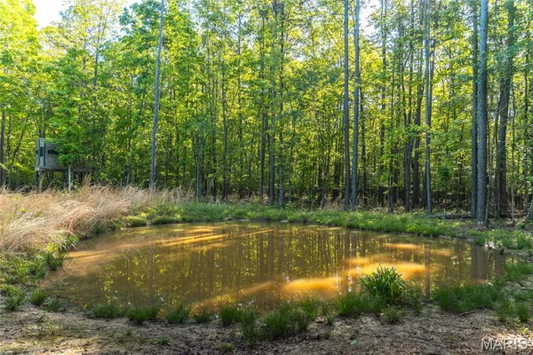 $1,700,000 | Tbd Tbd Dogwood Lane, Doniphan, MO 63935