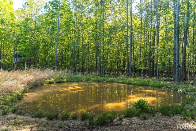 $1,700,000 | Tbd Tbd Dogwood Lane, Doniphan, MO 63935