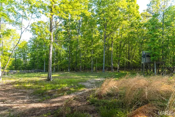 $1,700,000 | Tbd Tbd Dogwood Lane, Doniphan, MO 63935