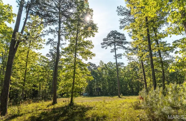 $1,700,000 | Tbd Tbd Dogwood Lane, Doniphan, MO 63935