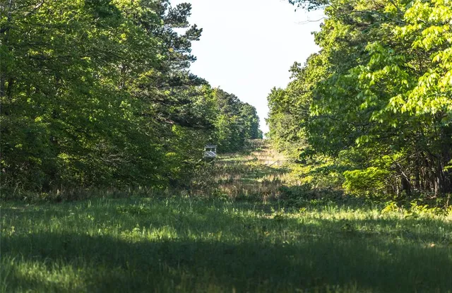 $1,700,000 | Tbd Tbd Dogwood Lane, Doniphan, MO 63935